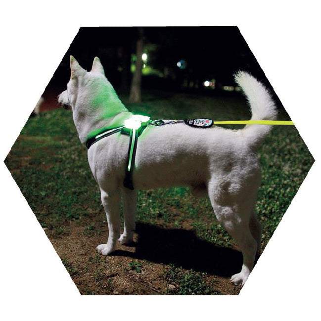 LED Hundegeschirr für alle Hundegrößen